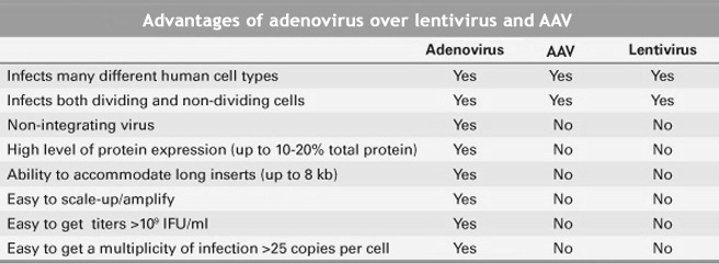 Adnovirus_vs_Lentivirus_vs_AAV.jpg